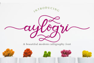 Aylogri: A Romantic Script Font for Brand Identity