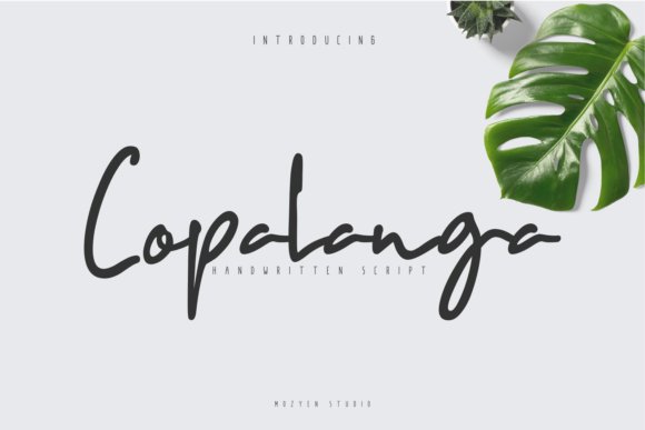 Copalanga: A Designer's Real-World Review