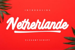 Netherlande: A Designer's Real-World Review