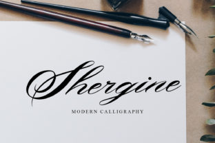 Shergine: A Real-World Designer Review